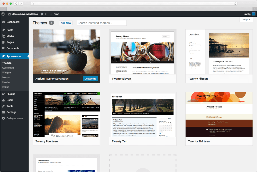 WordPress dashboard view showing theme and website management options for business site operations.